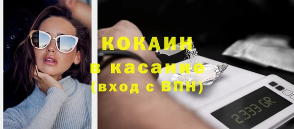гидра Куровское