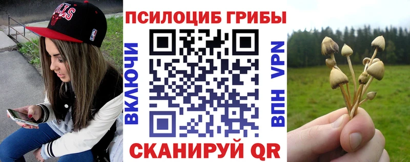 Псилоцибиновые грибы мухоморы  shop какой сайт  Пущино 